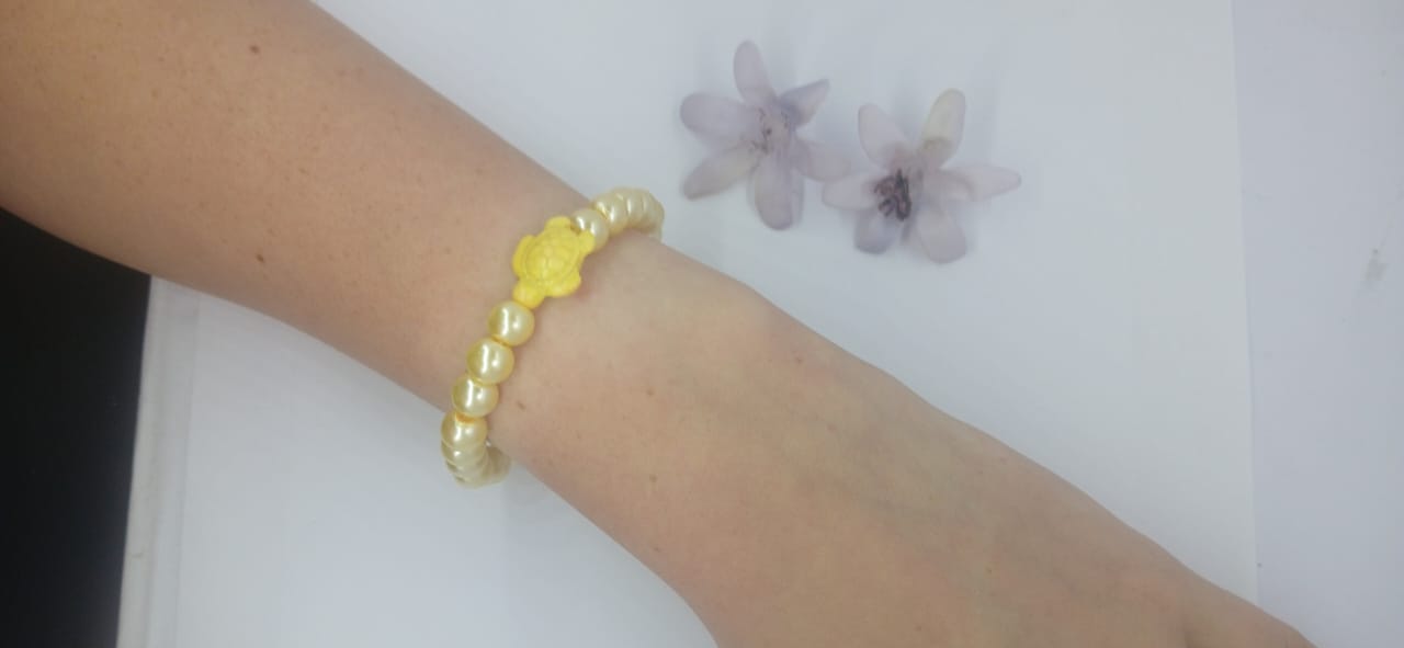 Mellow Yellow Turtle